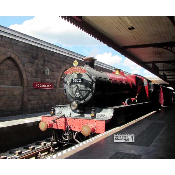 Hogwarts Express Hogsmeade Station